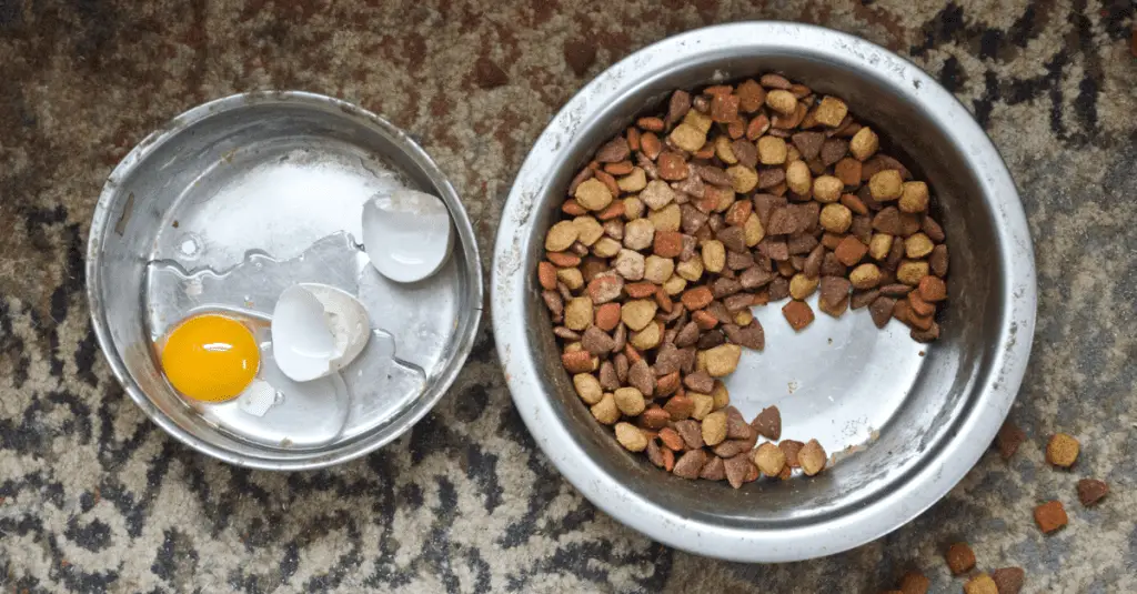 7 Clever Uses for Eggshells Around the House & Garden