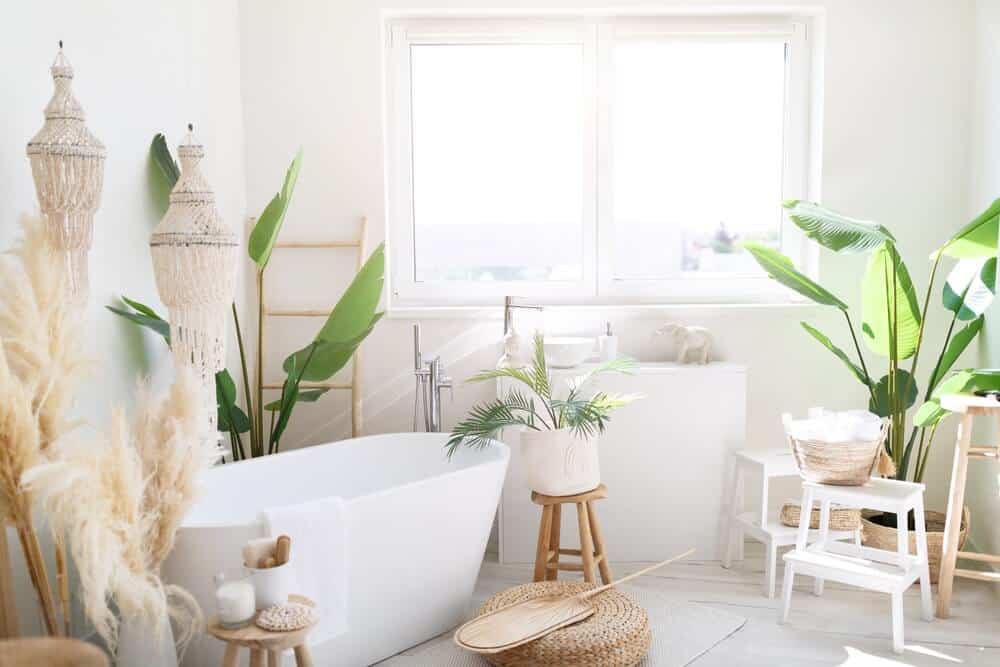 10 Houseplants Perfectly Suited To Your Bathroom