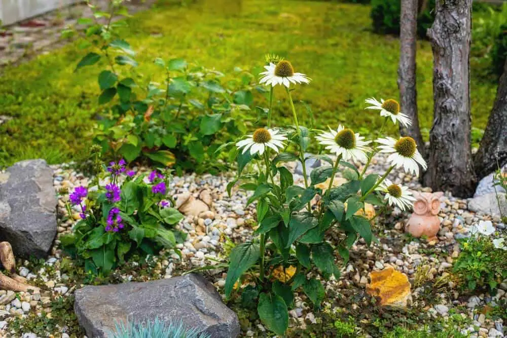 How to Make a Small Backyard Appear Bigger - 8 Creative Ideas