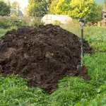The Benefits Of Homemade Compost (And How To Make It)